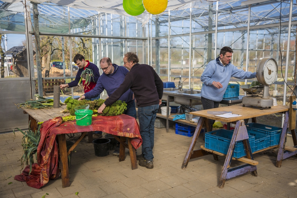 Vitaal dorp en arbeidsmatige dagbesteding in Everdingen